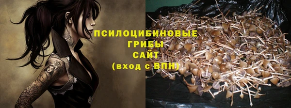 MESCALINE Аркадак