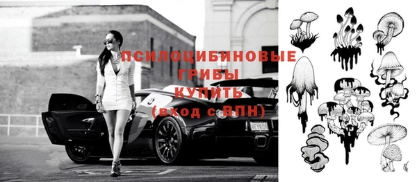ПСИЛОЦИБИНОВЫЕ ГРИБЫ Мегион